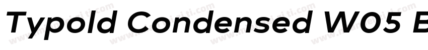Typold Condensed W05 Black Regular字体转换